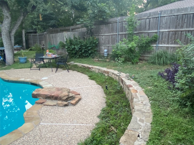 view of yard featuring a patio and a fenced in pool