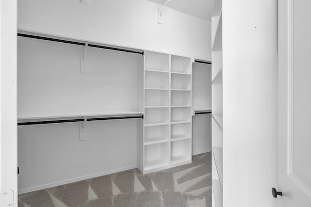 spacious closet featuring light colored carpet