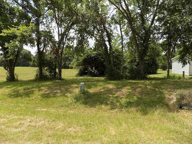 Listing photo 2 for Lot6 Indian Gap, Quitman TX 75783