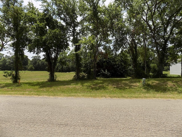 Listing photo 3 for Lot6 Indian Gap, Quitman TX 75783