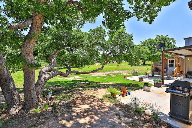 view of yard with a patio