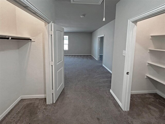 empty room featuring dark hardwood / wood-style flooring and a raised ceiling