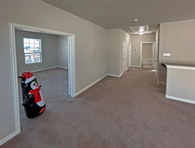 hallway featuring carpet floors