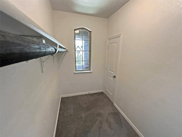 spacious closet with dark carpet