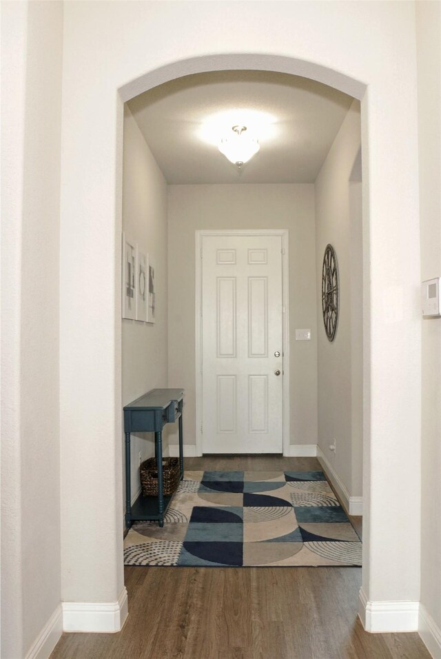 foyer with wood-type flooring