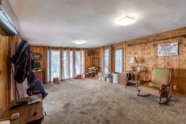 sitting room with wooden walls, carpet, and a textured ceiling