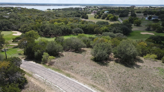 Listing photo 2 for 7033 Golf Dr, Whitney TX 76692