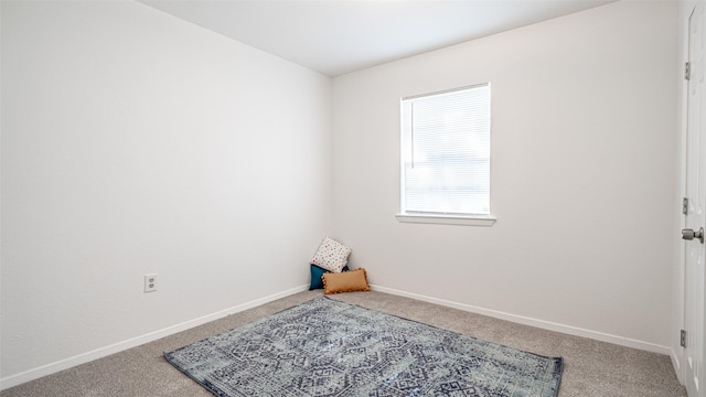 spare room featuring carpet flooring