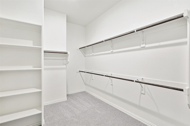 walk in closet featuring carpet