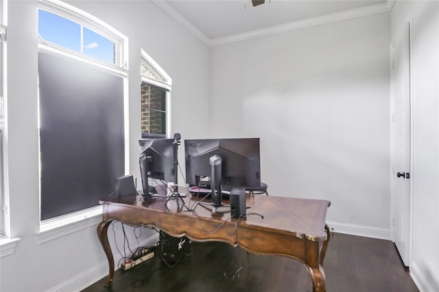 office space with hardwood / wood-style flooring and ornamental molding