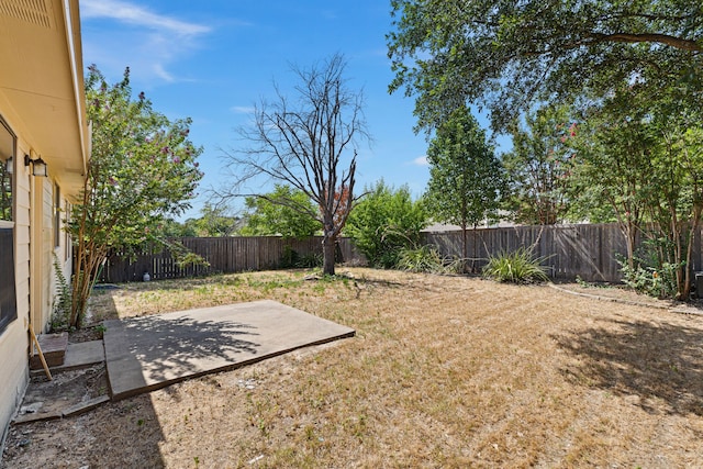 view of yard featuring a patio area