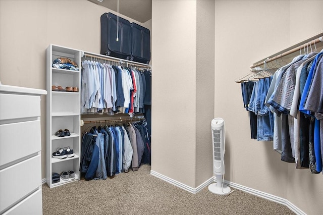 walk in closet with carpet flooring