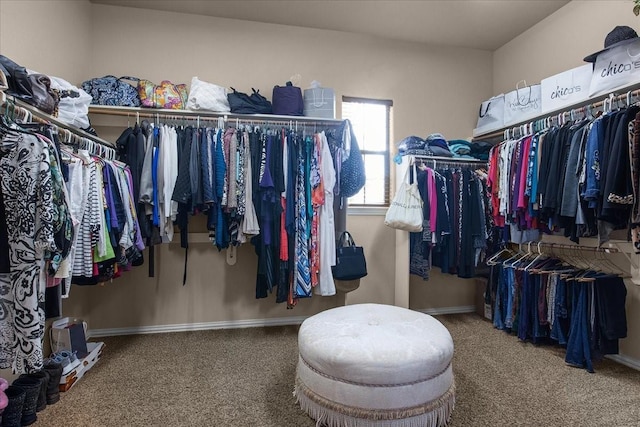 spacious closet featuring carpet