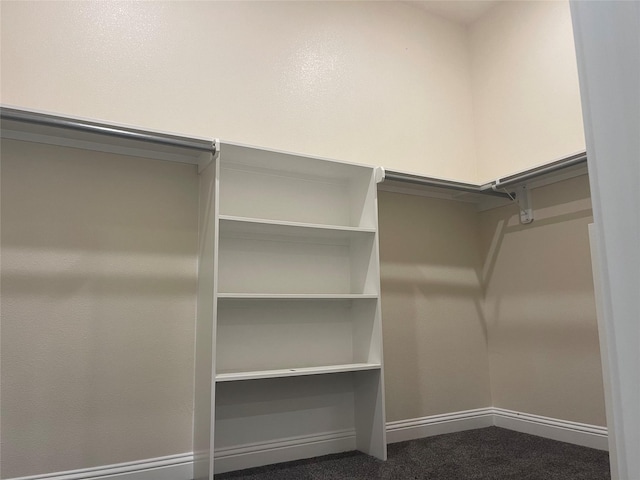 walk in closet featuring carpet