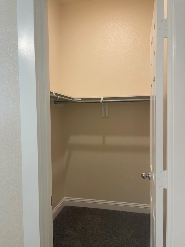 spacious closet with dark colored carpet