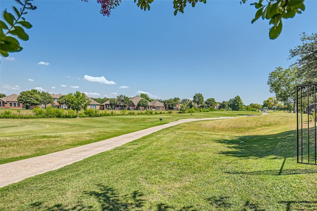 view of community featuring a yard