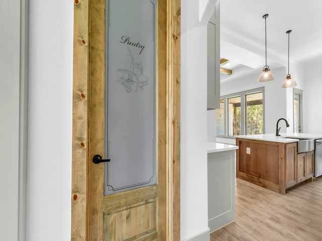 interior space featuring pendant lighting, dishwasher, light wood-type flooring, and sink