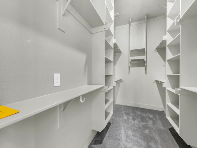 walk in closet with dark colored carpet