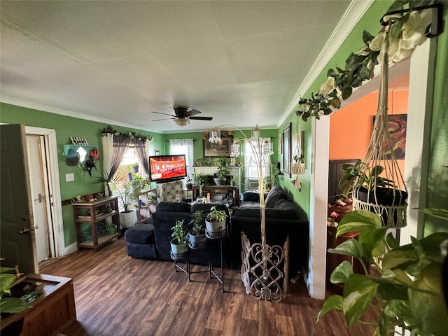 living room with hardwood / wood-style flooring, crown molding, and ceiling fan