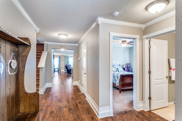 hallway with dark hardwood / wood-style floors, a textured ceiling, and ornamental molding