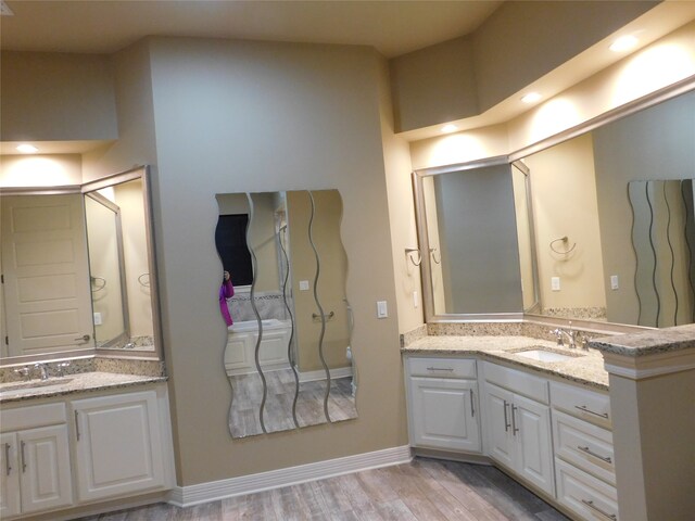 bathroom featuring vanity and hardwood / wood-style floors