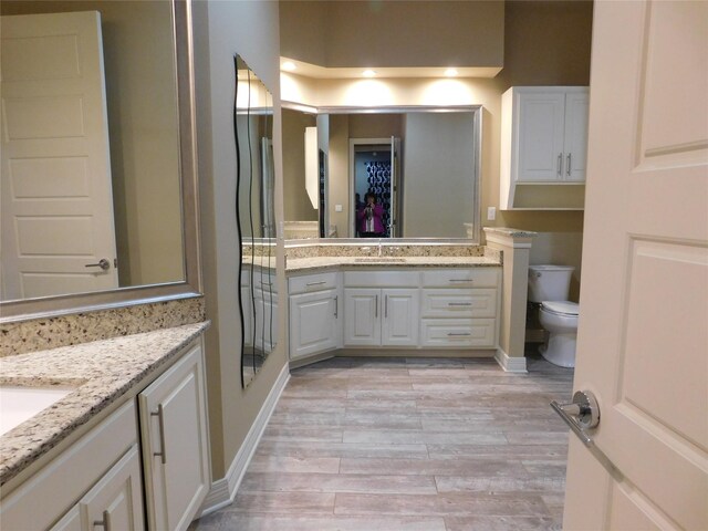 bathroom featuring hardwood / wood-style floors, vanity, and toilet