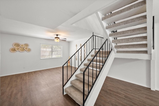 staircase featuring ceiling fan and wood-type flooring