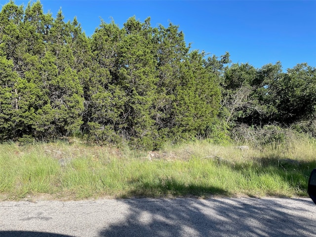 Listing photo 3 for LOT22 Oakcrest Dr, Ranger TX 76470