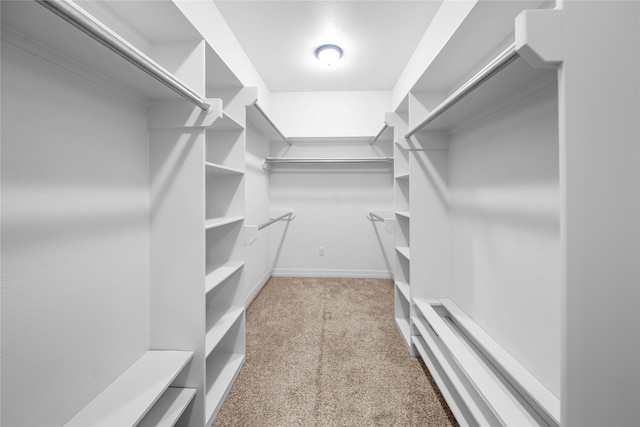 spacious closet with light colored carpet