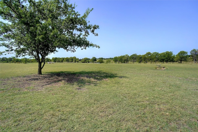 view of yard featuring a rural view