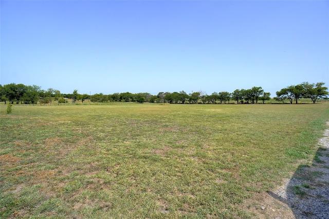 view of yard with a rural view