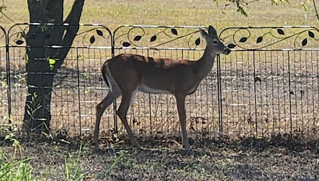 view of gate