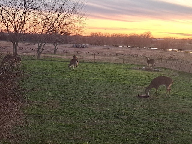 yard at dusk with a rural view