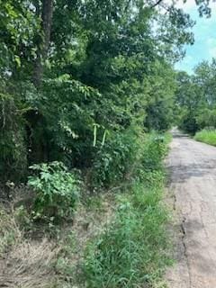 Listing photo 3 for TBD2E County Road 3528, Saltillo TX 75478