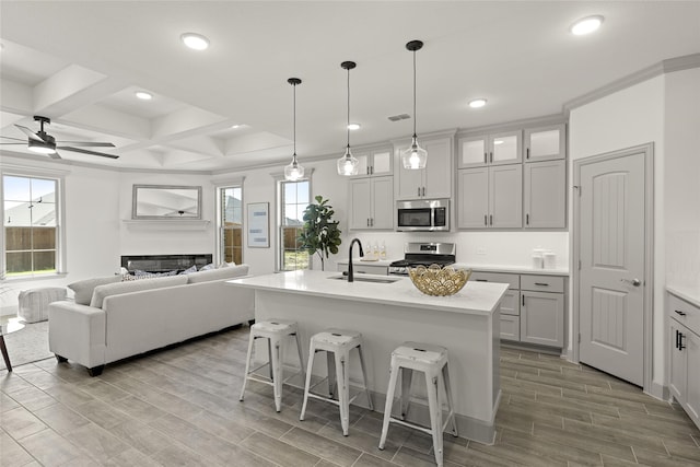 kitchen with coffered ceiling, a kitchen island with sink, stainless steel appliances, and plenty of natural light