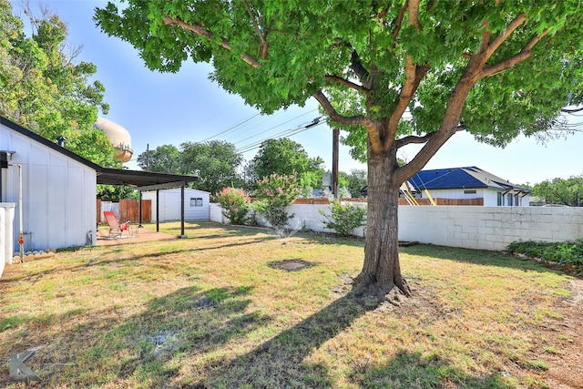 view of yard featuring a patio area and a storage shed