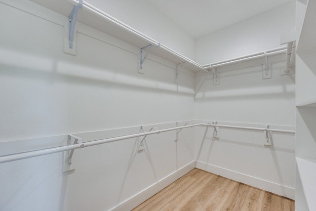 spacious closet featuring light wood-type flooring