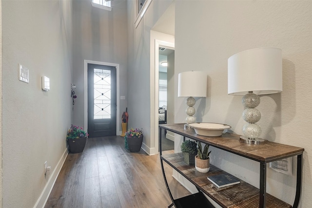 entrance foyer with a towering ceiling, wood-type flooring, and a wealth of natural light