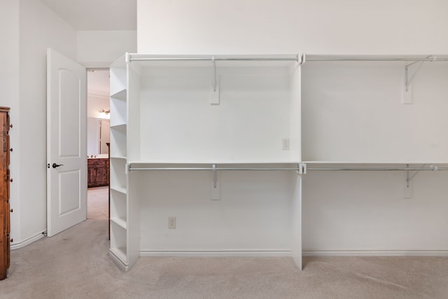 spacious closet with light colored carpet