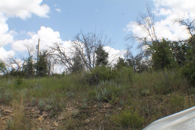 Listing photo 3 for N/A Newcastle Dr, Brownwood TX 76801