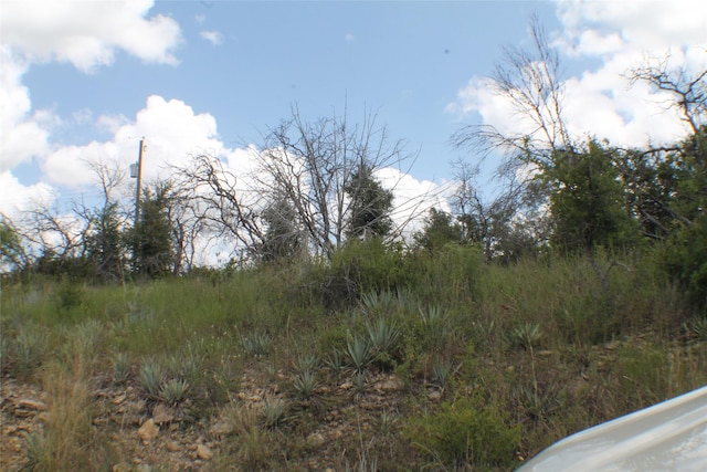 Listing photo 3 for N/A Newcastle Dr, Brownwood TX 76801