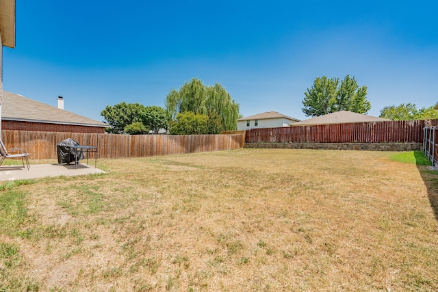 view of yard featuring a patio