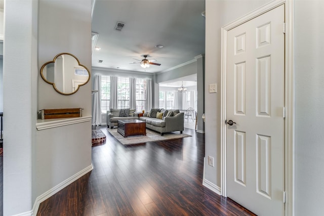 living room featuring ceiling fan with notable chandelier, dark wood-type flooring, and crown molding