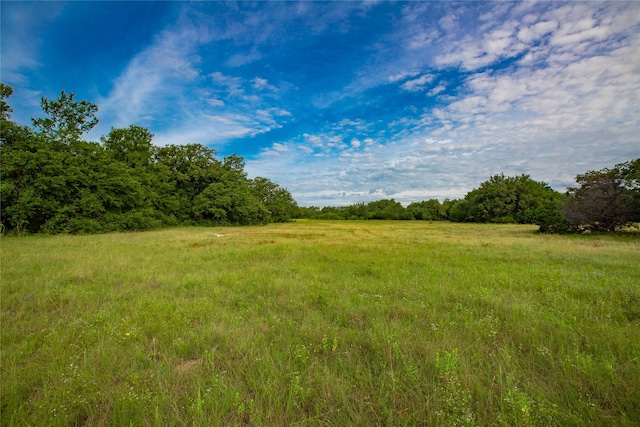 Listing photo 3 for TBD Paluxy Highway, Tolar TX 76476