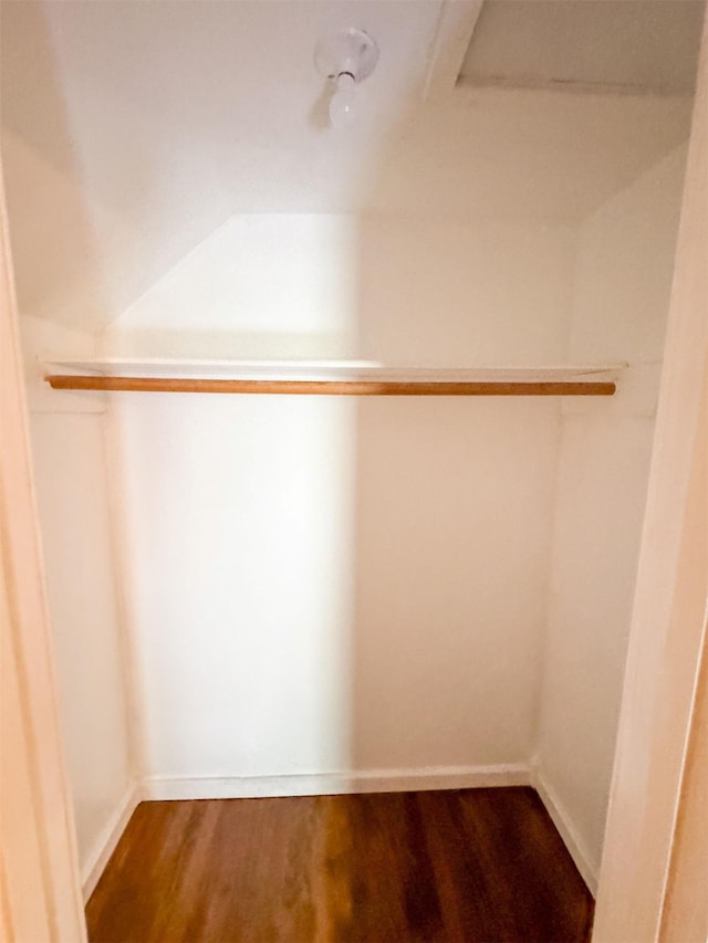 walk in closet with hardwood / wood-style floors