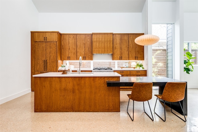 kitchen with stove, sink, and an island with sink