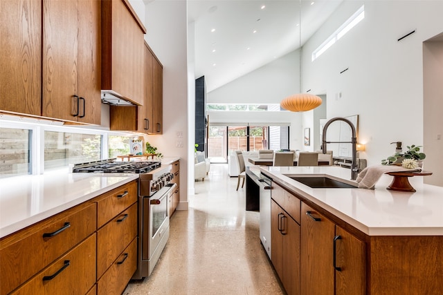 kitchen with sink, high vaulted ceiling, and stainless steel appliances