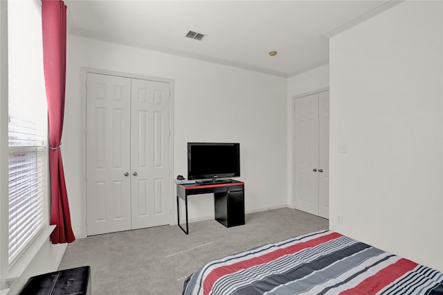 carpeted bedroom featuring a closet and crown molding