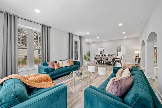 living room featuring hardwood / wood-style floors