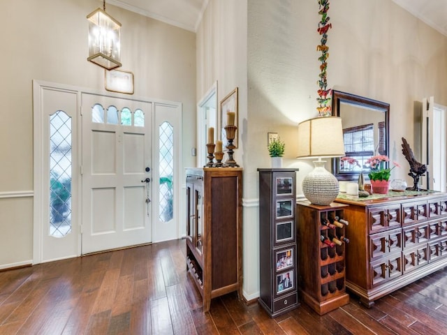 foyer entrance featuring a healthy amount of sunlight and dark hardwood / wood-style flooring